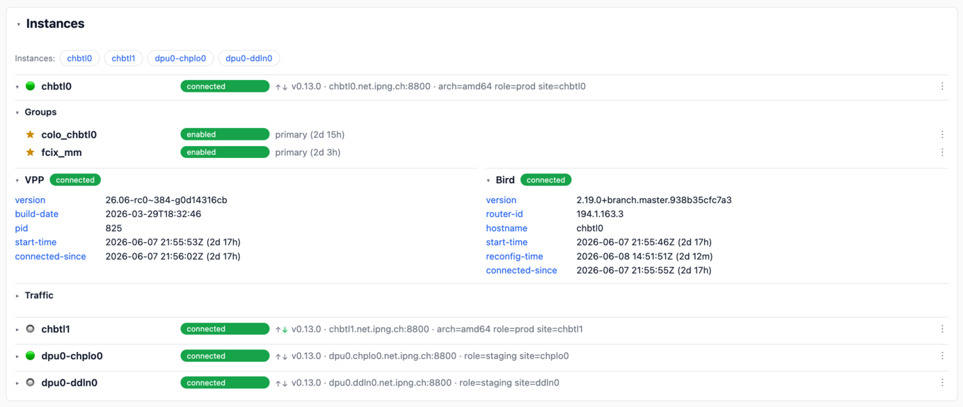Screenshot of vpp-evpnf instances view