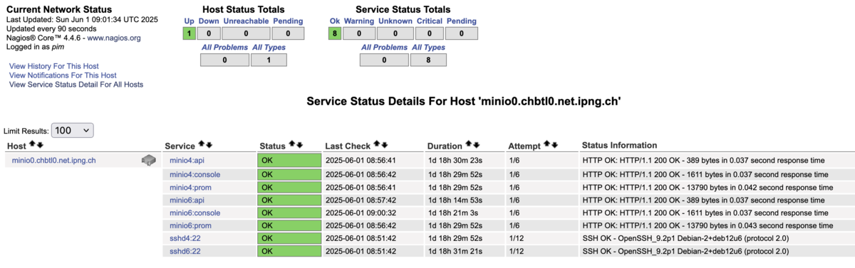 Nagios Dashboard