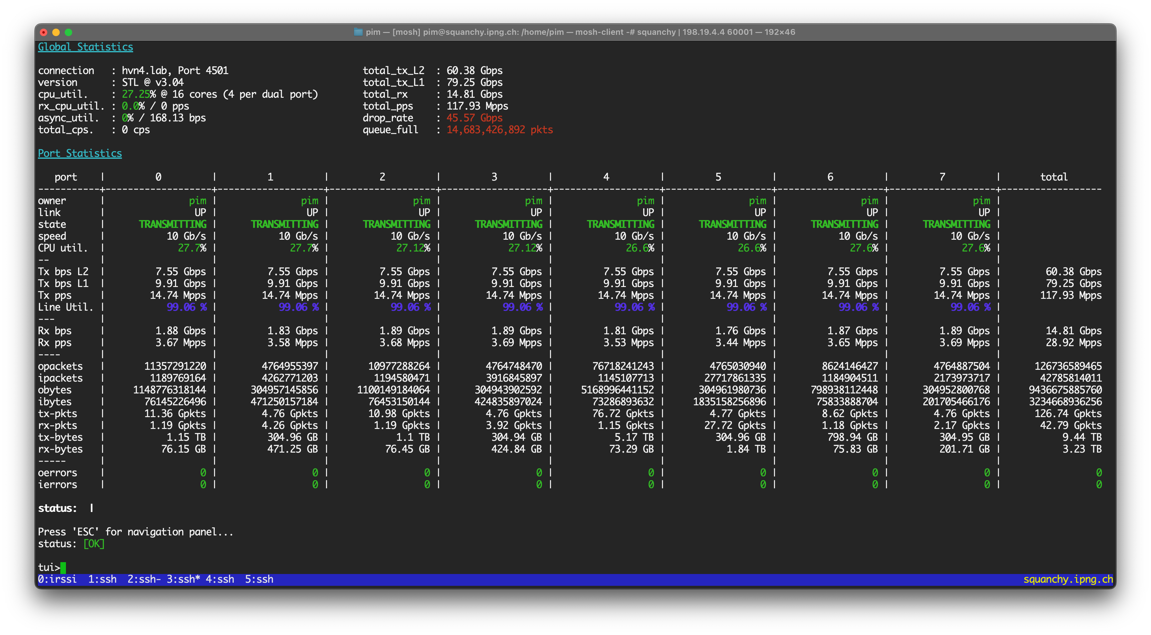 Cisco T-Rex: overload at line rate